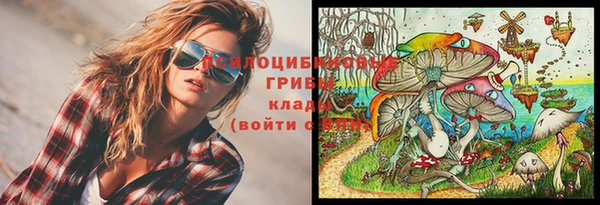 амф Абаза