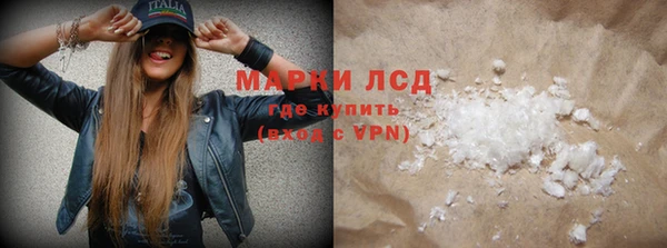 ПСИЛОЦИБИНОВЫЕ ГРИБЫ Новозыбков