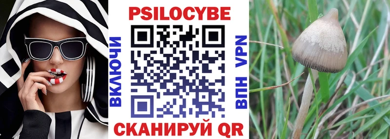 маркетплейс наркотические препараты  Тихорецк  Галлюциногенные грибы Psilocybine cubensis 
